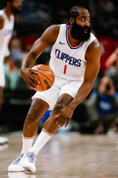 家与新手双 家与新手双